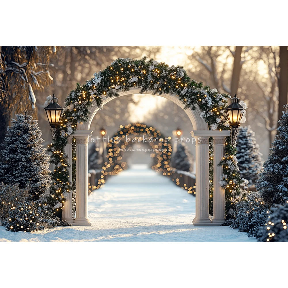 Christmas Snowy Retro Arch Door Entrance Backdrops Kids Adult Photography Child Baby Photocall WInter Forest Castle Backgrounds