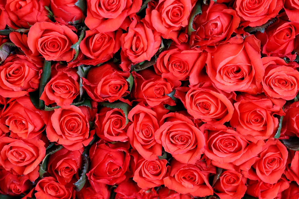 Red Floral Wall Backdrop Kids Adult Photography Props Child Baby Photocall Cake Smash Decor Wedding Birthday Ceremony Background