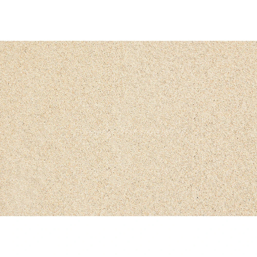 Coral Beach Sand Photography Backdrop Kids Baby Cake Smash Photocall Floor Backgrounds Child Adult Birthday Studio Photo Decors