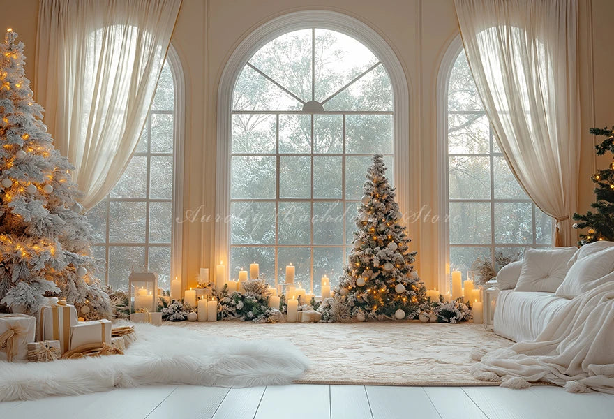 Wide Arched Window With Large Panes Photography Backdrop Baby Kids Portrait Family Party Photocall Photograhy Background